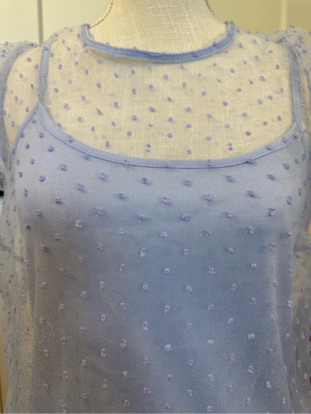 NWT IRIS Lavender Swiss Dot Sheer Mesh Flutter Sleeve Top – Size Small - Picture 3 of 10